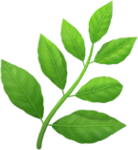 Herb Extract Complex